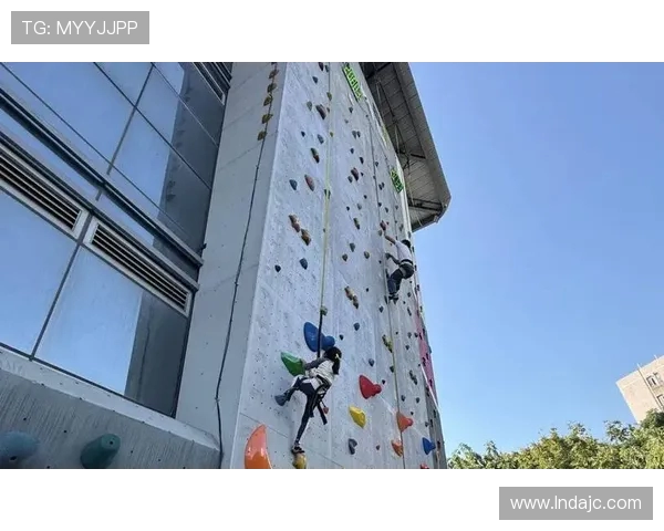 广州攀岩队在世界攀岩锦标赛中的团队协作表现分析与点评 广州攀岩队在世界攀岩锦标赛中的团队协作表现分析与点评