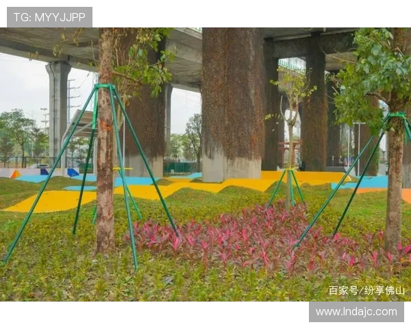 广州极限运动队与北京极限运动队赛后状态深度分析与复盘探讨