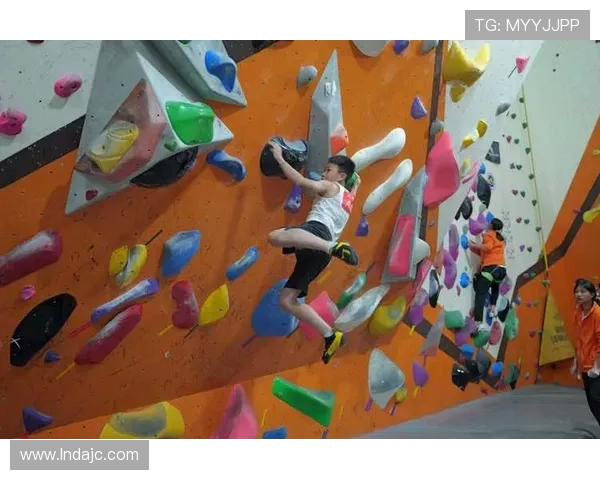 成都攀岩队在极限运动嘉年华中的默契配合与精彩表现点评