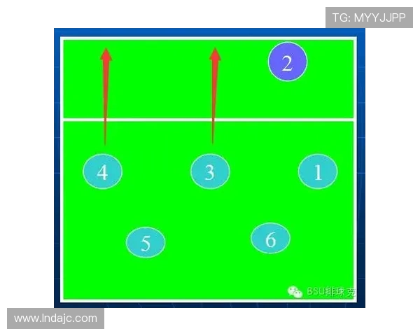 成都排球队战术解析：从基础训练到比赛策略的全面探讨